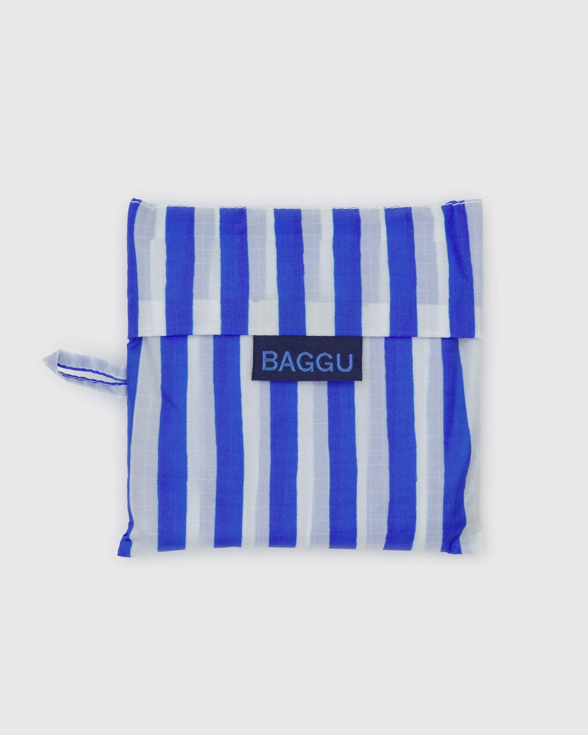 Standard Baggu Blue Painted Stripe - Image 4